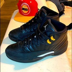 Air Jordan Master 12